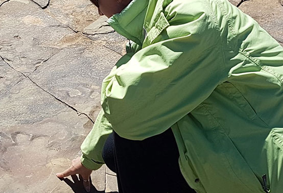 Sutherland Fossil and Stargazing tour
